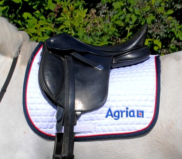 Underlag Dressur, Hvid eller Blå i gruppen Agria Shop / Hest hos AgriaShop (2269r)