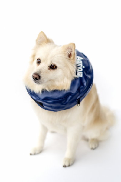 Oppustelig hundekrave. i gruppen Agria Shop / Hund hos AgriaShop (AGR2134r)