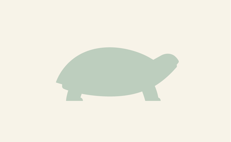 Trimmetaske/Toilettaske